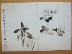 §§★§§---中國名畫欣賞---花鳥山水冊之七---八大山人---20---第4輯10之09---花鳥一系列---★繪畫藝術明信片 歷史價格詳細信息