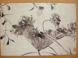 §§★§§---中國名畫欣賞---荷花---八大山人---13---第4輯10之10---花鳥二系列---★繪畫藝術明信片 歷史價格詳細信息