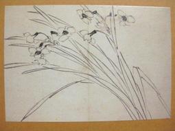 §§★§§---中國名畫欣賞---水仙---金農---22---第5輯10之04---花卉系列---★繪畫藝術明信片 歷史價格詳細信息