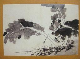 §§★§§---中國名畫欣賞---花卉---陳淳---17---第7輯10之07---花鳥系列---★繪畫藝術明信片 歷史價格詳細信息