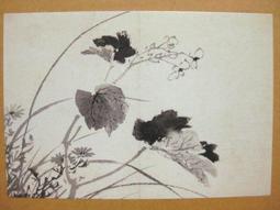 §§★§§---中國名畫欣賞---花鳥山水冊之七---八大山人---20---第4輯10之09---花鳥一系列---★繪畫藝術明信片 歷史價格詳細信息