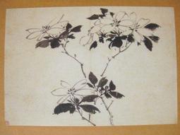 §§★§§---中國名畫欣賞---花卉---齊白石---22---第1輯10之03---花鳥系列---★繪畫藝術明信片 歷史價格詳細信息