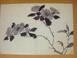 §§★§§---中國名畫欣賞---山茶鴝鷸---任薰---19---第5輯10之01---雜畫系列---★繪畫藝術明信片 歷史價格詳細信息