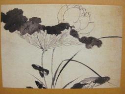 §§★§§---中國名畫欣賞---荷花---八大山人---13---第4輯10之10---花鳥二系列---★繪畫藝術明信片 歷史價格詳細信息