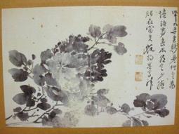 §§★§§---中國名畫欣賞---花卉冊(七)雁來紅---吳昌碩---16---第4輯10之03---雜畫系列---★繪畫藝術明信片 歷史價格詳細信息