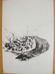 §§★§§---中國名畫欣賞---墨竹---潘天壽---13---第1輯10之06---雜畫系列---★繪畫藝術明信片 歷史價格詳細信息