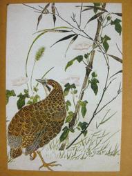 北埔美食 竹光杏仁純減糖版x3盒(60gX10入/盒) 歷史價格詳細信息