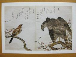 §§★§§---日本浮世繪欣賞---花街美人---03---美人風俗畫---鳥居清長繪---第1輯10之05---★繪畫藝術明信片 歷史價格詳細信息