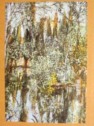 §§★§§---世界名畫欣賞---達芬奇的素描---17---達芬奇---第二輯之01---★繪畫藝術明信片 歷史價格詳細信息