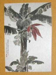 §§★§§---中國名畫欣賞---芭蕉---金農---08---第5輯10之04---花卉系列---★繪畫藝術明信片 歷史價格詳細信息
