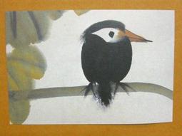 §§★§§---中國名畫欣賞--林風眠-葉淺予-金城-劉繼魯-范增---第3輯10本大全套---整本小本式共230張---★繪畫藝術明信片 歷史價格詳細信息