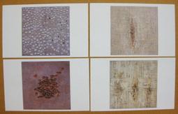 大陸明信片--鎮江文物 歷史價格詳細信息