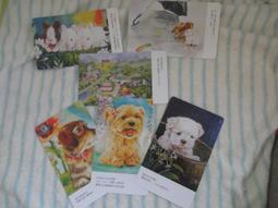 二手明信片5入*知名英倫學院風格品牌 KnightsBridge homme明信片/酷卡/卡片 歷史價格詳細信息