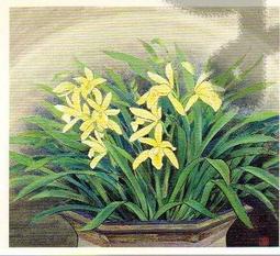 名家藝術明信片--洪瑞麟 J. L. Hung 油畫作品 1969 歷史價格詳細信息