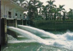 明信片- 空白明信片 嘉義 阿里山 明信片 歷史價格詳細信息