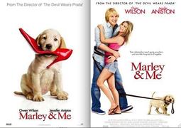 C電影酷卡明信片 馬達加斯加 Madagascar（一套3款） 歷史價格詳細信息