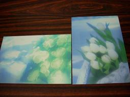 二手早期華麗牌吹風機~~HD-120(初步測試可以使用歡迎面交測試) 歷史價格詳細信息