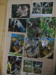 二手明信片/名信片套組12入*日本大阪kaizuka 明信片水間寺/水間公園貝塚寺內町地方風景明信片 歷史價格詳細信息