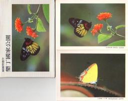 明信片 墾丁國家公園明信片  空白明信片 風景明信片 歷史價格詳細信息