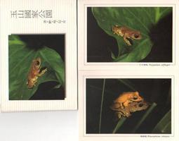 【青文】1枚金幣脫胎換骨的冒險者生活（1）（2）預購/眾利書店CLbook 歷史價格詳細信息