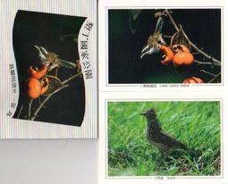 明信片 墾丁國家公園明信片  空白明信片 風景明信片 歷史價格詳細信息