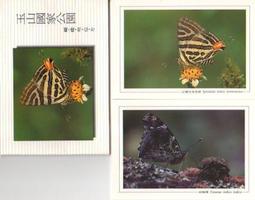 玉山國家公園(三版) 內政部營建署玉山國家公園管理處解說課 文字敘述及照片 讀者了解玉山國家公園 五南文化廣場 政府出版 歷史價格詳細信息