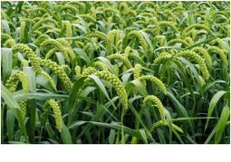 原圖明信片~極限片~蓋故宮定點59支郵局戳~故宮古代文物象牙雕郵票原圖明信片 歷史價格詳細信息