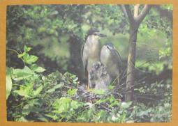 不多見★★--1980年---南京第二機床廠購貨卷-- 3 張---★★歷史見證 歷史價格詳細信息