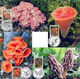 台灣郵票原價250“個人化郵票”另贈金郵票1原圖片4共3項1組“2009歲次乙丑年牛生肖郵票發行紀念“品相約如圖運費可併 歷史價格詳細信息