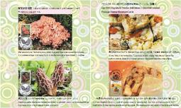 中華民國92、93、94、95、96、97、98年蔣中正10元硬幣(十元、拾圓)七枚只要198元，運費另計，品相如圖。 歷史價格詳細信息