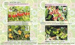 中華民國92、93、94、95、96、97、98年蔣中正10元硬幣(十元、拾圓)七枚只要198元，運費另計，品相如圖。 歷史價格詳細信息