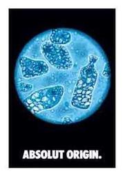 義大利ABSOLUT REVELATION 絕對伏特加酒類酷卡明信片酒卡 Ruby Red 葡萄柚跳舞女郎 歷史價格詳細信息