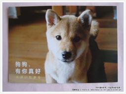 【草坪狗狗訓練廁所】草坪狗狗訓練廁所狗馬桶 室內移動狗尿盤狗廁所草坪三層馬桶泰迪小型犬搗蛋鬼狗便盆狗尿盆寵物用品 歷史價格詳細信息