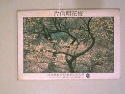 早期明信片 空軍T-34教練機雄姿 歷史價格詳細信息