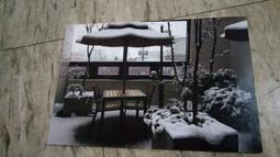 明信片 (D) .....(韓國帶回) 歷史價格詳細信息