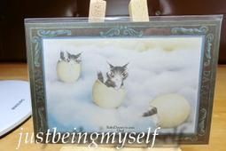 瓦奇菲爾德wachifield-日夜彩虹雙面用多特包 歷史價格詳細信息