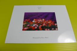 日本 HOTEi  北海道 味付 螺貝罐/燒蛤罐 現貨 蝦皮直送 歷史價格詳細信息