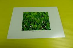 日本 HOTEi  北海道 味付 螺貝罐/燒蛤罐 現貨 蝦皮直送 歷史價格詳細信息