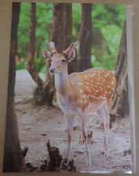 兩岸政治互信研究 歷史價格詳細信息