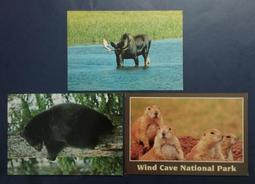 小新e家- 早期明信片4張P6-34～* 歷史價格詳細信息