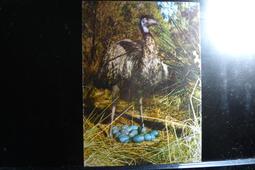 PS314 印度1940年 喬治 1Rupee盧比銀幣 歷史價格詳細信息