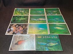 【台灣花卉】 明信片 - 芙勞兒B - 5款各1張 - hibeetle甲蟲手繪 歷史價格詳細信息