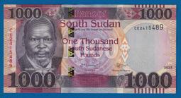 南蘇丹-2017年100鎊 歷史價格詳細信息