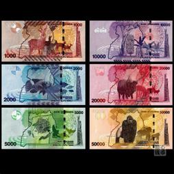 2019干支亥年《現貨》日本海洋迪士尼 奇奇蒂蒂 小熊維尼 彭彭 Pumbaa 娃娃 玩偶送禮好物 歷史價格詳細信息