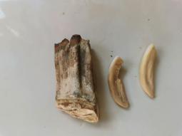 (大是)馬斯克，挑戰科學的男人：全自動駕駛、超迴路列車、腦機介面、殖民火星……科學家眼中哪些「馬斯克現象」會成真？其結果是？/ 奧利維耶．拉斯卡-閱己 歷史價格詳細信息