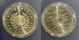 全新日影《婚前特急》DVD 吉高由里子 前田弘二執導 歷史價格詳細信息