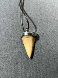 巨齒鯊2 海溝深淵DVD 傑森史塔森 吳京 Meg 2 The: The Tren 台灣正版全新112/10/20發行 歷史價格詳細信息