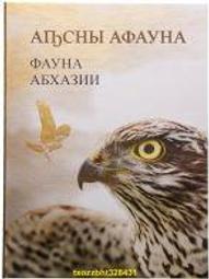 【滿300出貨】阿方索十二世1 雙柱 西班牙1885年5比塞塔 銀幣 37mm 25g 90%硬幣 歷史價格詳細信息