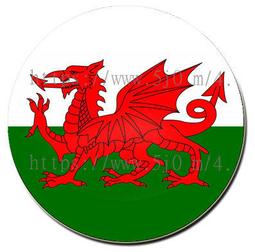 世界國旗別針,世界國旗胸針,國旗徽章,作工精美,送禮收藏,把玩欣賞,皆適宜! 歷史價格詳細信息