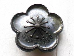 懷舊~~~中華民國當十銅元紀念十銅元---紀念銅元....*a418 歷史價格詳細信息